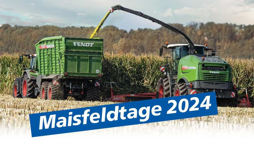 Maisfeldtag 2024 Grebs