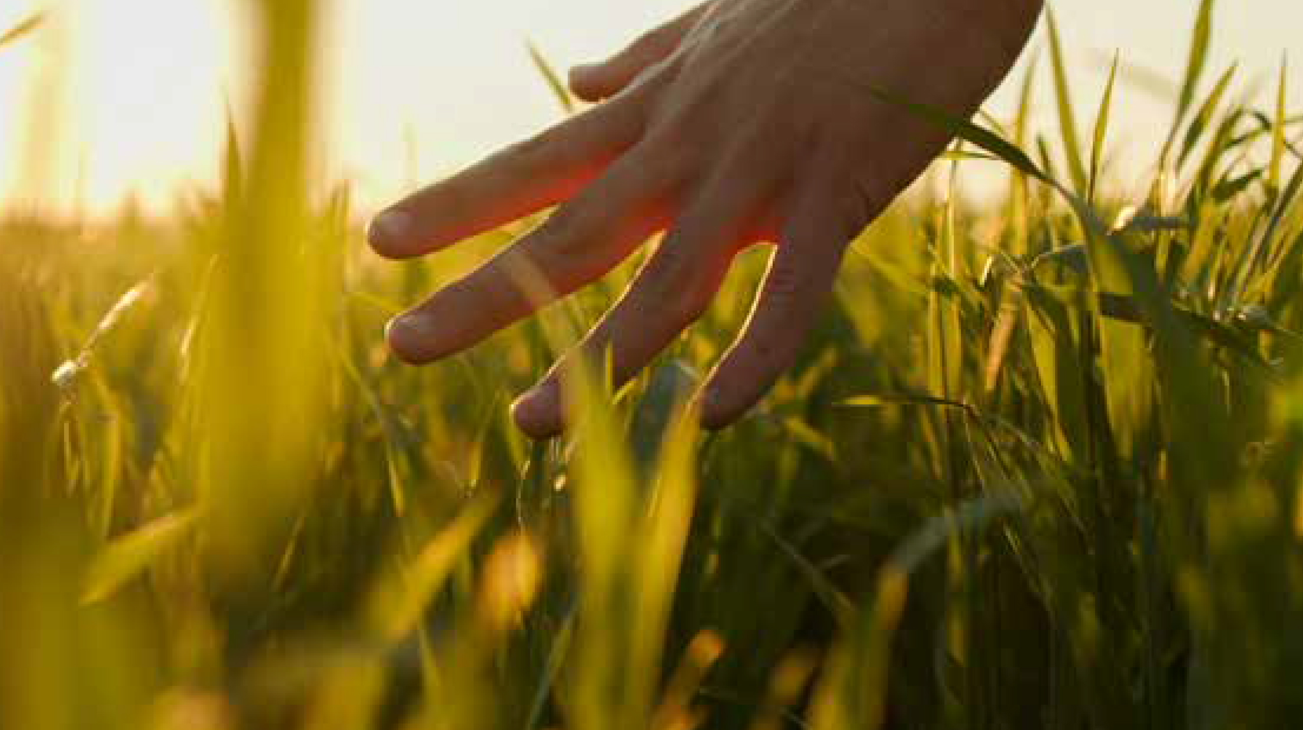 Pflanzenbautagung 2026