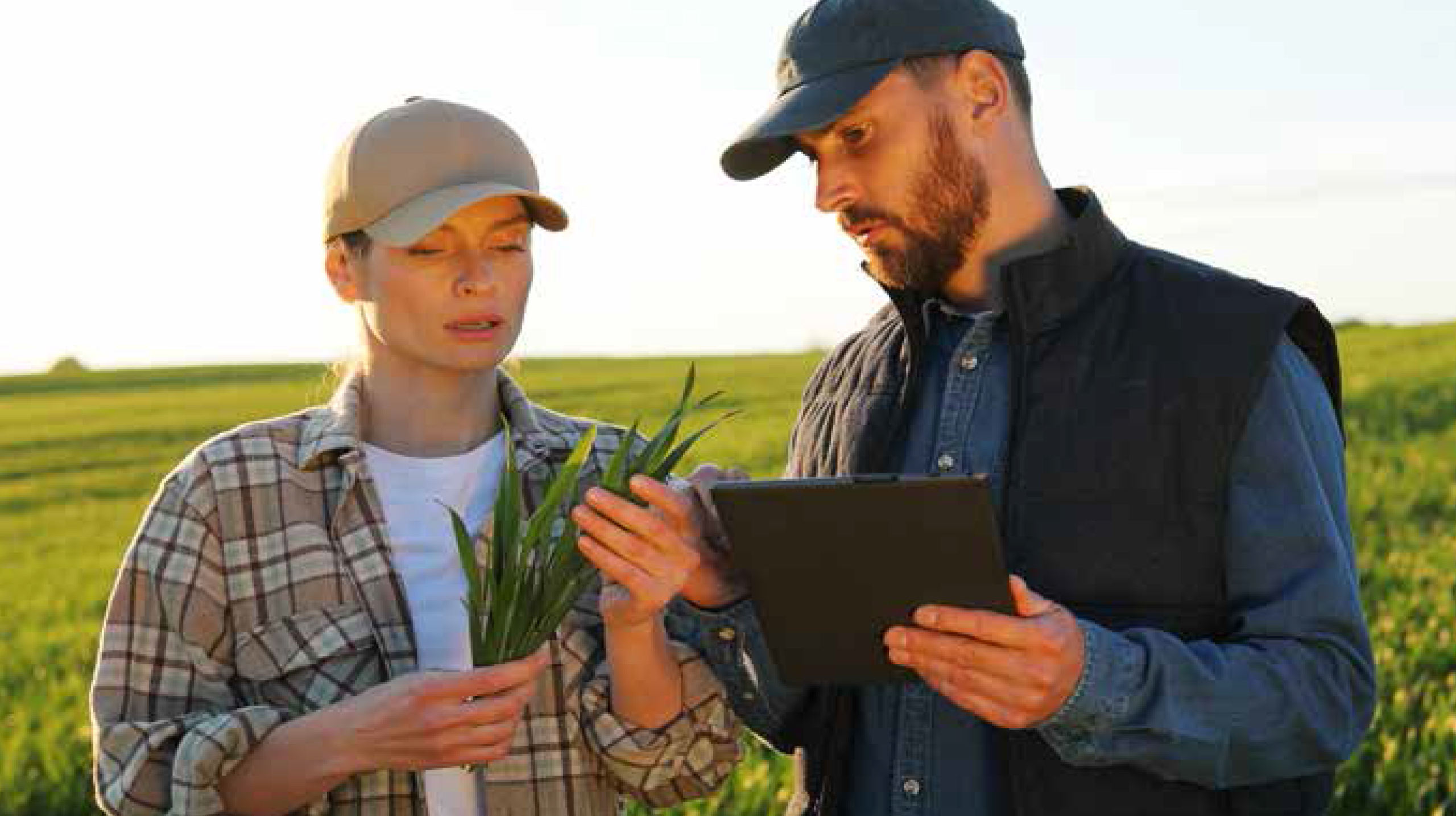 Wintertagung Pflanzenschutz 2026